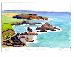 Mendocino headlands